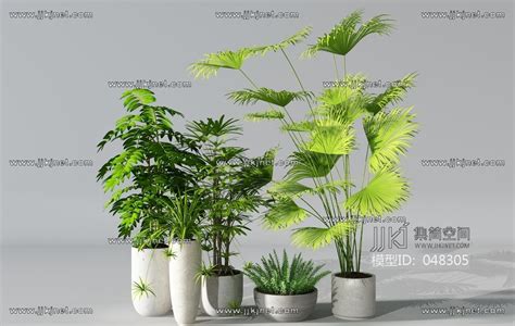 H64 0629植物盆景盆栽绿植花盆3d模型下载 【集简空间】「每日更新」