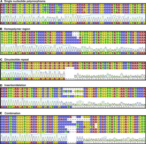 Comparison Of Sequences Generated By Sanger And Ngs Technology In Its2 Download Scientific