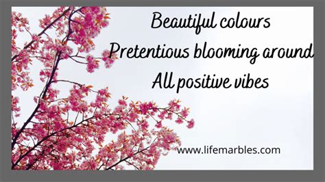 Flowers – A Haiku - Life Marbles