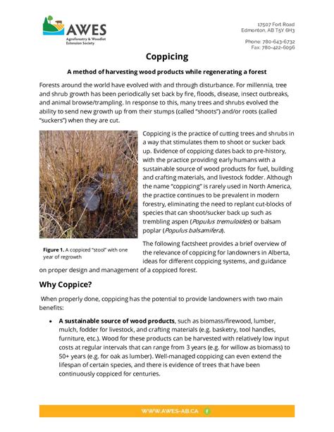 Coppicing – AWES | Agroforestry and Woodlot Extension Society of Alberta