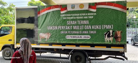 Untuk Mencegah Virus PMK Peternak Di Jatim Mendapat Bantuan Vaksin