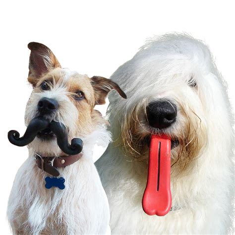 Silly Dog Toys Mustache And Giant Tongue Mustache Dog Toy Tongue Dog