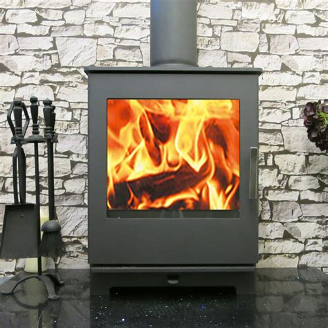 Neo Kw Multi Fuel Wood Burning Stove Modern Stoves Multi Fuel Wood