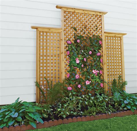 Шпалера для винограда из арматуры своими руками - 84 фото