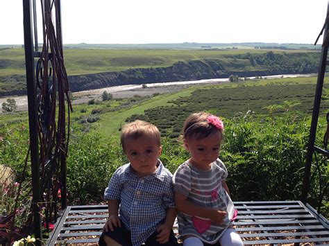 Saskatoon Farm: A Family-Favourite Outing for Summer - SavvyMom