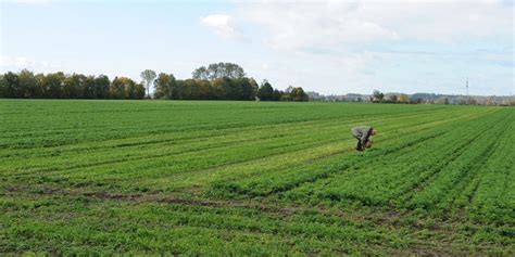 Unilever se alía con Axa y Tikehau Capital para impulsar la agricultura