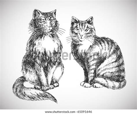 two cats realistic drawing - professional high quality