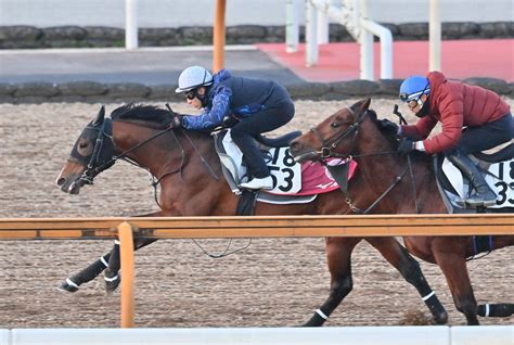 【中日新聞杯】プログノーシスは動きスムーズ 昨年3月以来のコンビ 藤岡佑は重賞初vへ意気込み 競馬ニュース Netkeiba