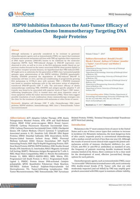 PDF HSP90 Inhibition Enhances The Anti Tumor Efficacy Of