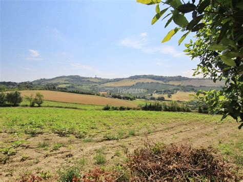 Terreno Agricolo Via Del Carmine Ancona Rif Immobiliare It