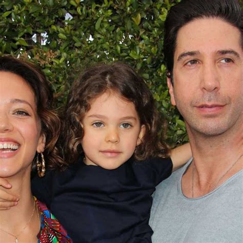 David Schwimmer Ethnicity David Schwimmer Bio Age Wif - vrogue.co