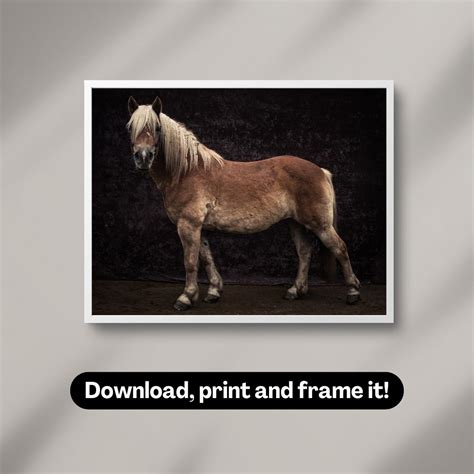 Haflinger Horse Portrait Photography Wall Art Printable Digital