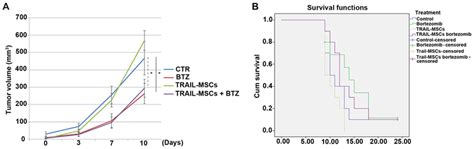 Bortezomib But Not Trail Mscs Treatment Slow Down The Growth Of