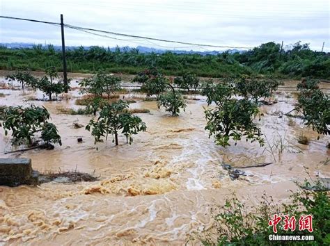 福建武平暴雨引发山体滑坡，致8人死亡长江云 湖北网络广播电视台官方网站