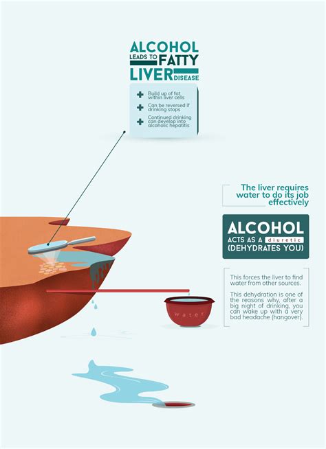 The Effects Of Alcohol On The Body Full Page Infographic