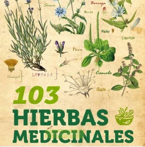 Libro guía de hierbas medicinales de Chile 103 hierbas destacadas con