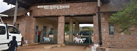 Masai Mara National Park - Tour Plan Limited | 3 Days 2 Nights Safari ...