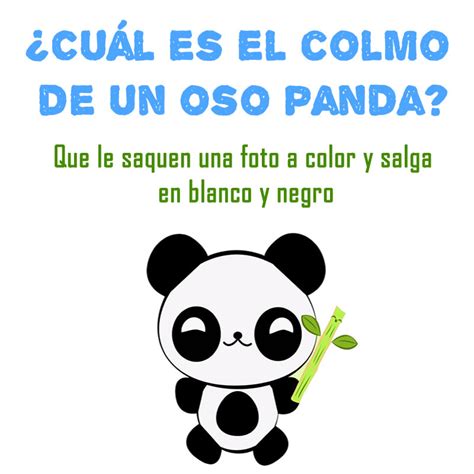 CHISTES DE COLMOS Chistes de colmos cortos para niños