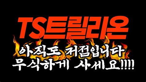 TS트릴리온 값 비싼 정보 가져왔습니다 구독자분들 수익 축하드립니다 주식기초 주식공부 주식단타 YouTube