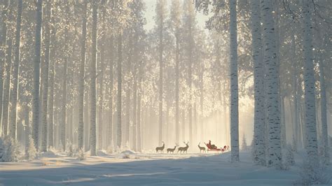 Christmas Reindeers Wallpaper Sleigh Sleigh Rides