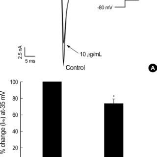 Effect Of Kiom On The Aps In Rabbit Cardiac Purkinje Fibers A