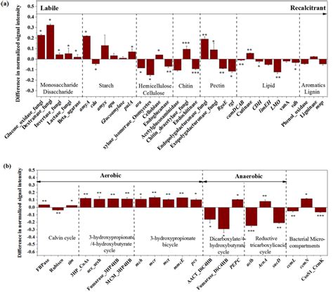 Comparison Of Functional Genes Involved In Carbon Degradation A And