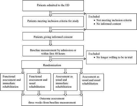 The Effect On Physical Performance Of A Functional Assessment And Immediate Rehabilitation Of