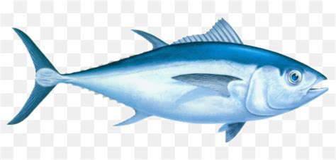 Spots Include Saltwater Environments Fish Tuna Emojituna Emoji