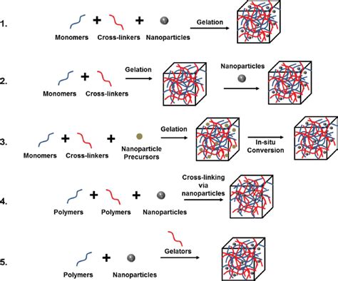 Five Main Approaches Used To Obtain Hydrogel Nanoparticle Conjugates