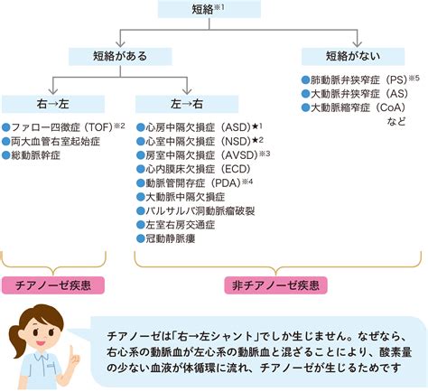 成人の先天性心疾患 看護roo カンゴルー