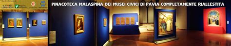 Home Musei Civici Di Pavia