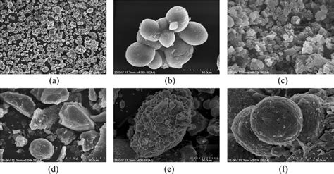 Scanning electron micrographs of calcium carbonate crystals ...