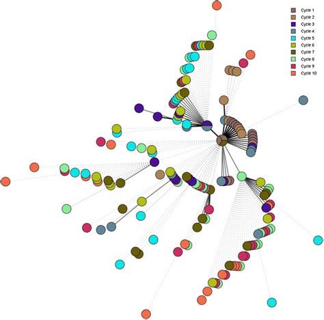 Minimum Spanning Tree Of WgMLST Analysis Of S Agona Each Circle