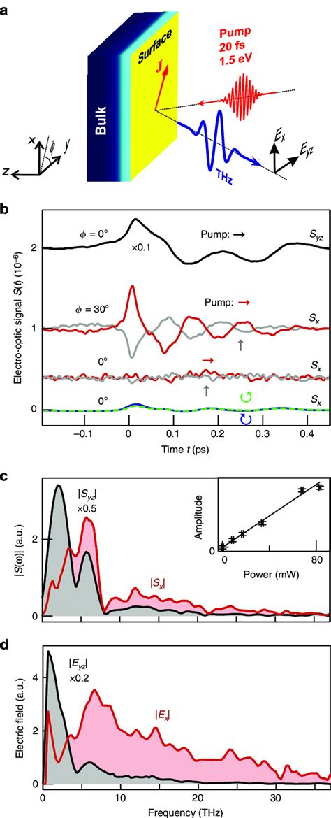 Thz Emission Experiment And Raw Data A Schematic Of The Ultrafast