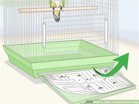 How to Clean a Caique Parrot Cage: 12 Steps (with Pictures)