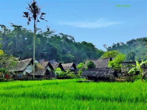 Foto Artikel Kampung Naga Adopsi Hutan Adat Demi Menjaga Keseimbangan