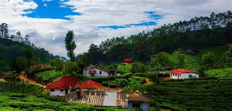 Top 15 Must Visit Munnar Tourist Places Munnar Insider Travel Blog