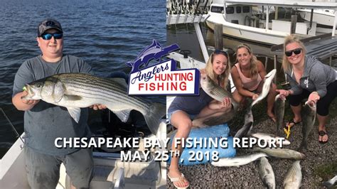 Chesapeake Bay Fishing Report - May 25th, 2018