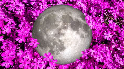 Pink Full Moon 2024 Tonight Meaning And Best Time To See It Fast Company