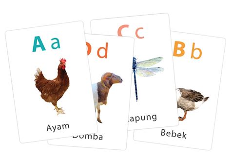 flashcard huruf nama hewan  flashcard gratis