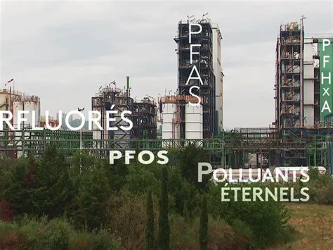 Per Et Polyfluoroalkyl Es Pfas Appel S Polluants Ternels