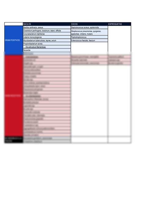 SOLUTION Clasificaci N De Bacterias Pat Genas Frecuentes Studypool