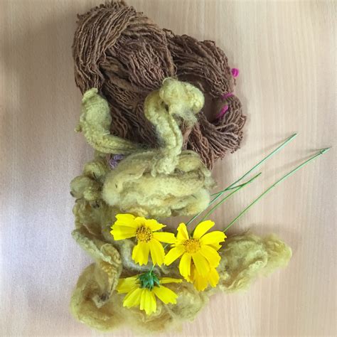 Lees Coreopsis Dyeing Central Coast Handweavers Spinners Textile