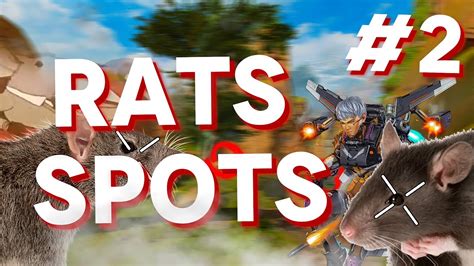 25 INSANE RATS SPOT KINGS CAYON SAISON 14 PARTIE 2 YouTube