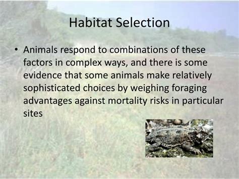 Ppt Habitat Selection Powerpoint Presentation Id6803606