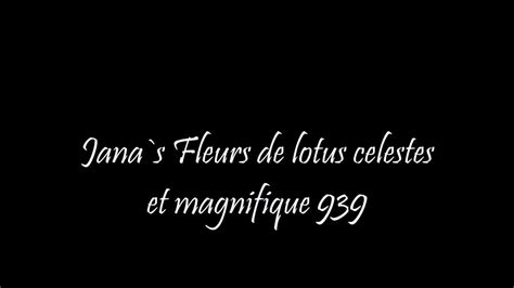 Fleurs De Lotus Celestes Et Magnifique Free HD Porn C XHamster