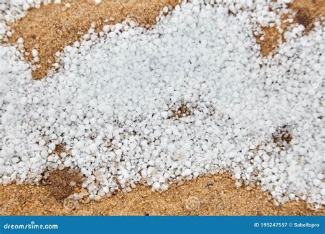 Snow Pellets, Graupel or Soft Hail on the Ground. Form of Precipitation Stock Image - Image of ...