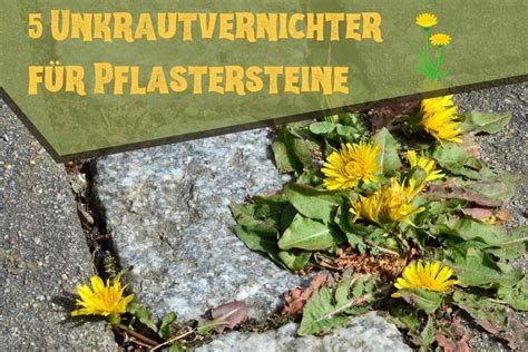 Unkrautvernichter F R Pflastersteine