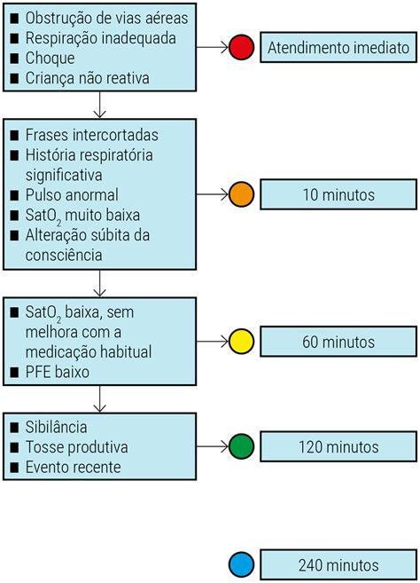 Classifica O De Risco E Protocolo De Atendimento Da Crian A Em