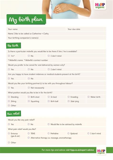 Birth Plan Form Printable Printable Forms Free Online